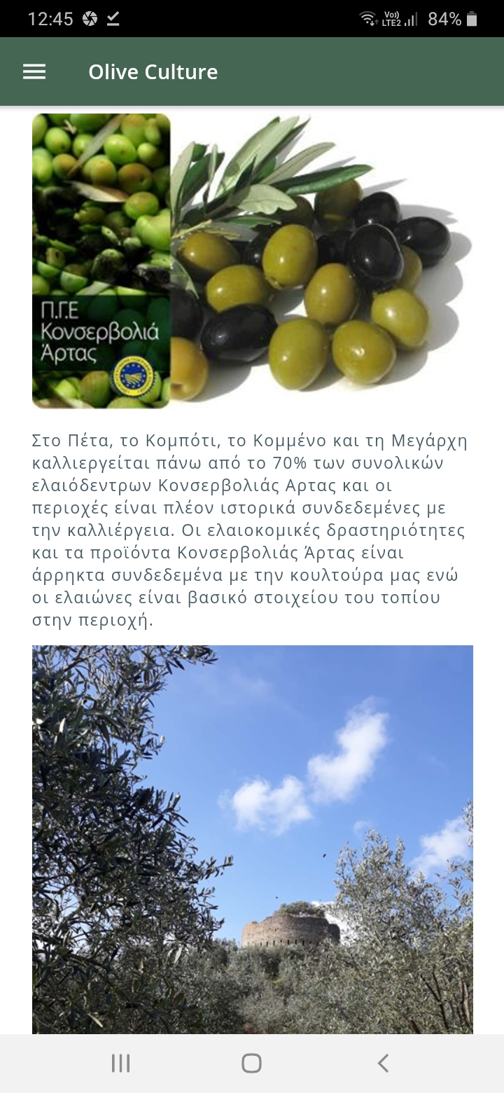 Δημιουργία Εφαρμογής για Κινητά Τηλέφωνα Olive Culture